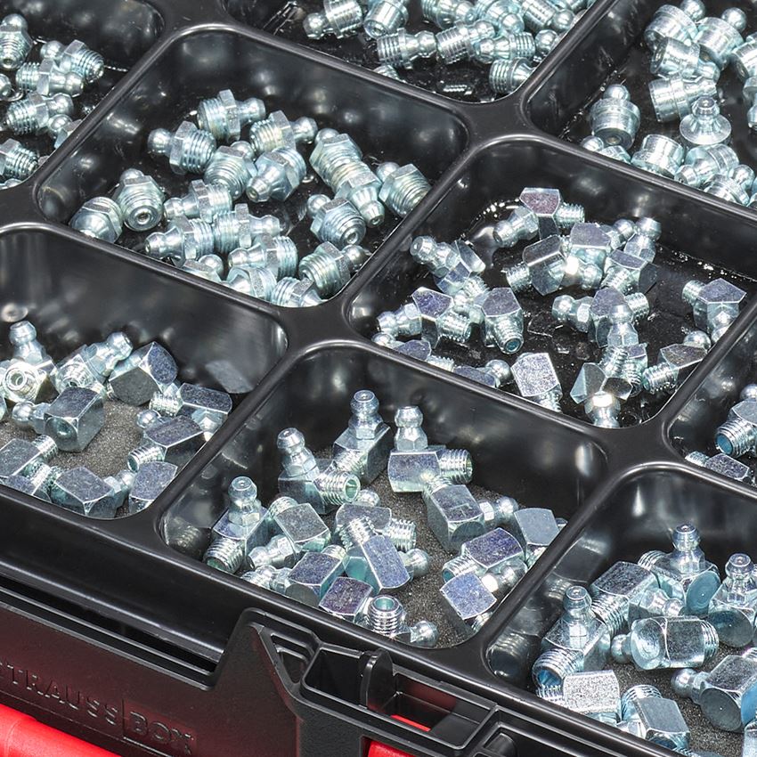 Assortiment kleine onderdelen: Assortiment smeernippels in STRAUSSbox 118 midi 2