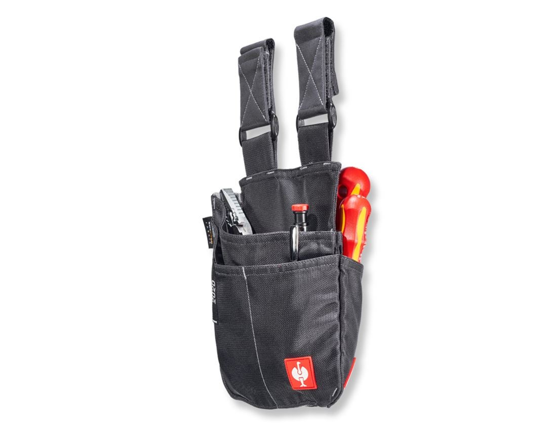 Accessoires: Gereedschapstas e.s.motion 2020, medium + antraciet/platina