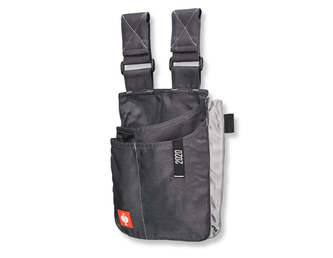 Accessoires: Gereedschapstas e.s.motion 2020, groot + antraciet/platina 1