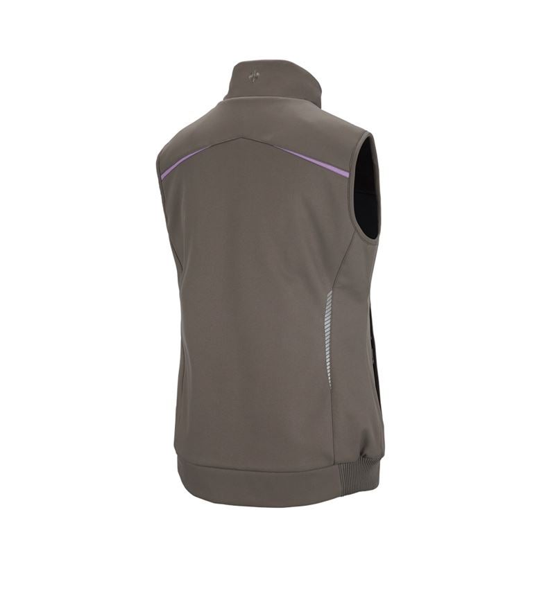 Werkvesten: Winter softshellbodywarmer e.s.motion 2020, dames + steen/lavendel 2