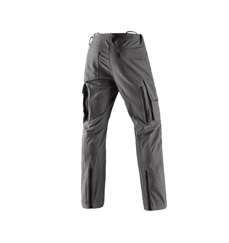 Werkbroeken: Bosbouwwerkbroek e.s.cotton touch met snijbescherm + carbongrijs 3