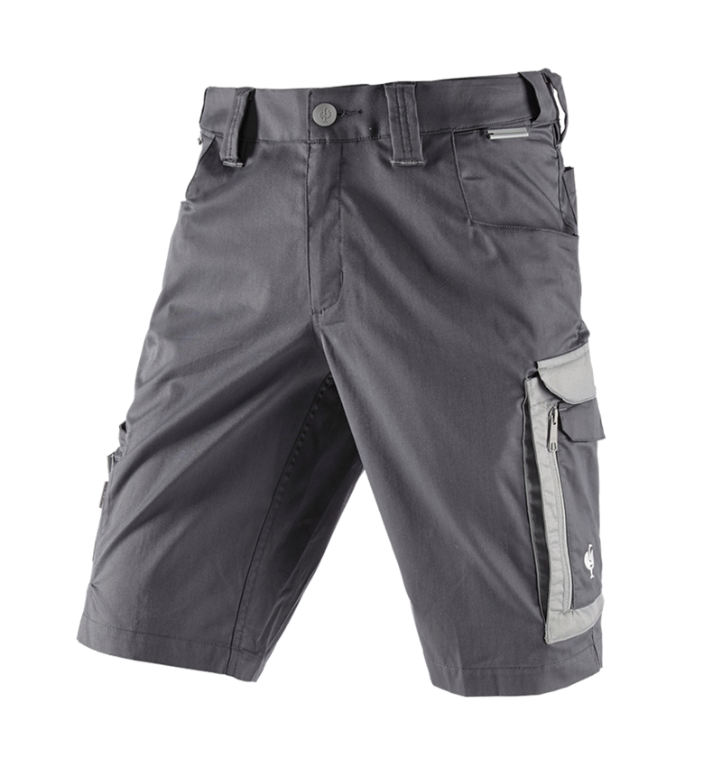 Werkbroeken: Short e.s.concrete light + antraciet/parelgrijs 3