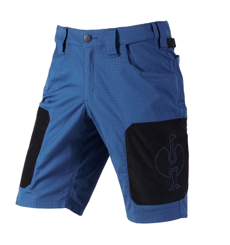 e.s.tool concept: Short e.s.tool concept + alkalisch blauw 5