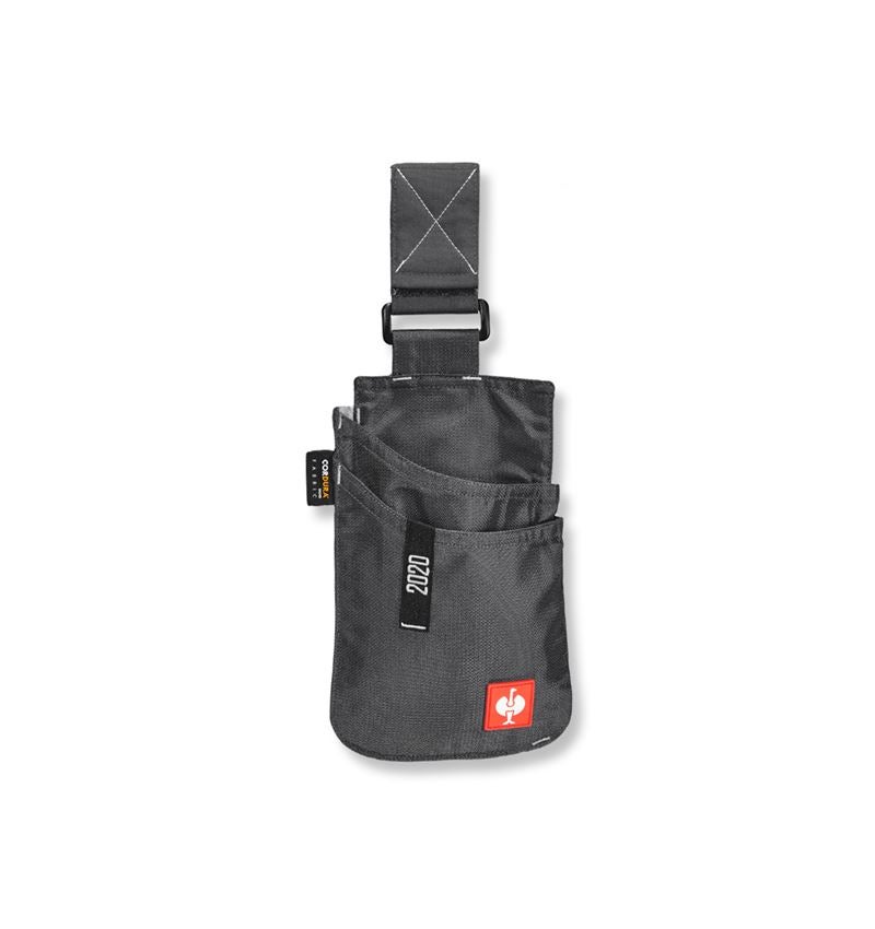 Accessoires: Gereedschapstas e.s.motion 2020, klein + antraciet/platina