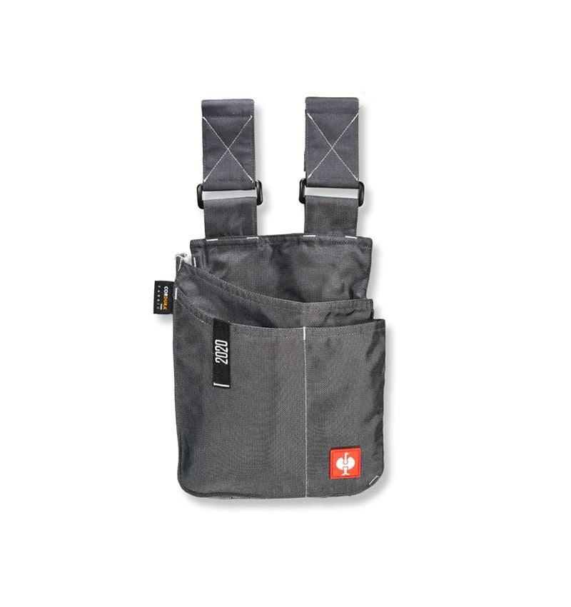 Accessoires: Gereedschapstas e.s.motion 2020, groot + antraciet/platina