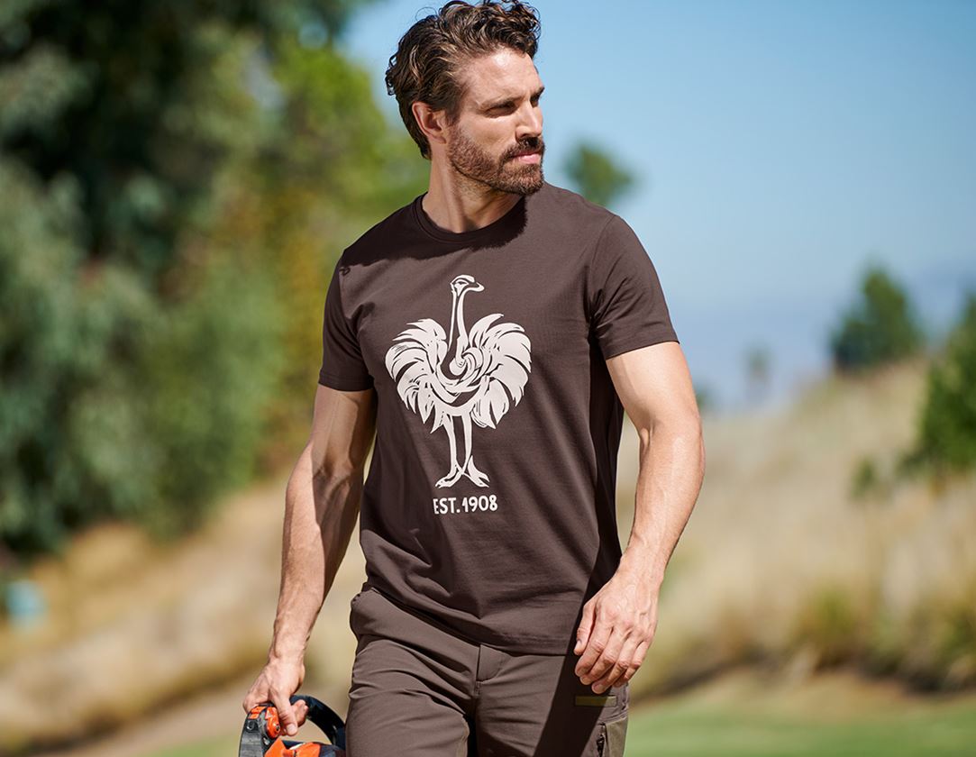 Bovenkleding: e.s. T-Shirt 1908 + kastanje/wit