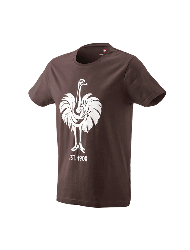 Bovenkleding: e.s. T-Shirt 1908 + kastanje/wit 2