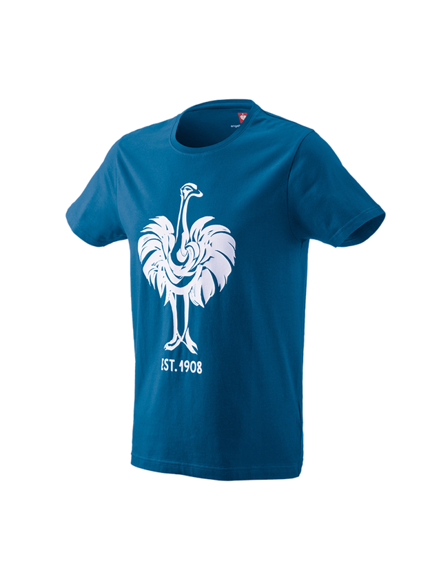 Bovenkleding: e.s. T-Shirt 1908 + atol/wit 1