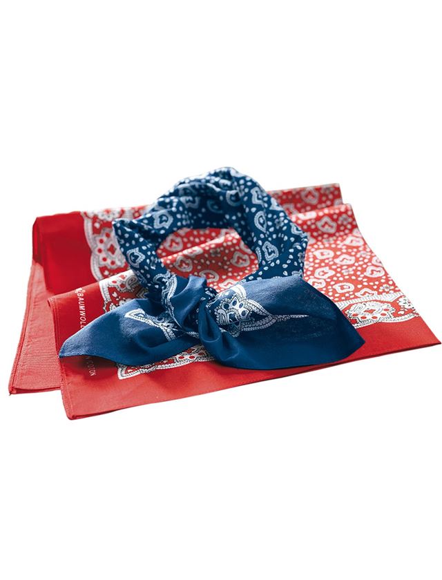 Accessoires: Originele boerenzakdoek Bandanos