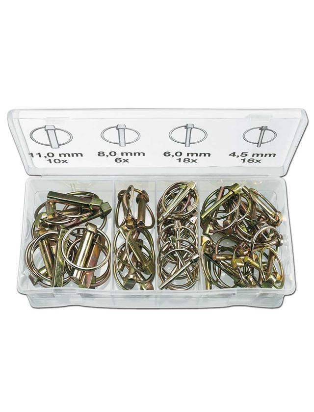 Assortiment kleine onderdelen: Assortiment klapsplitpennen