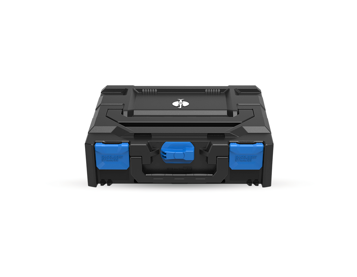 System STRAUSSbox: STRAUSSbox 118 midi Color + niebieski chagall