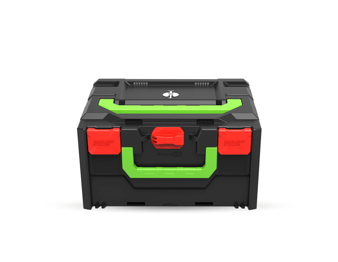 System STRAUSSbox: STRAUSSbox 215 midi Color + ognistoczerwony