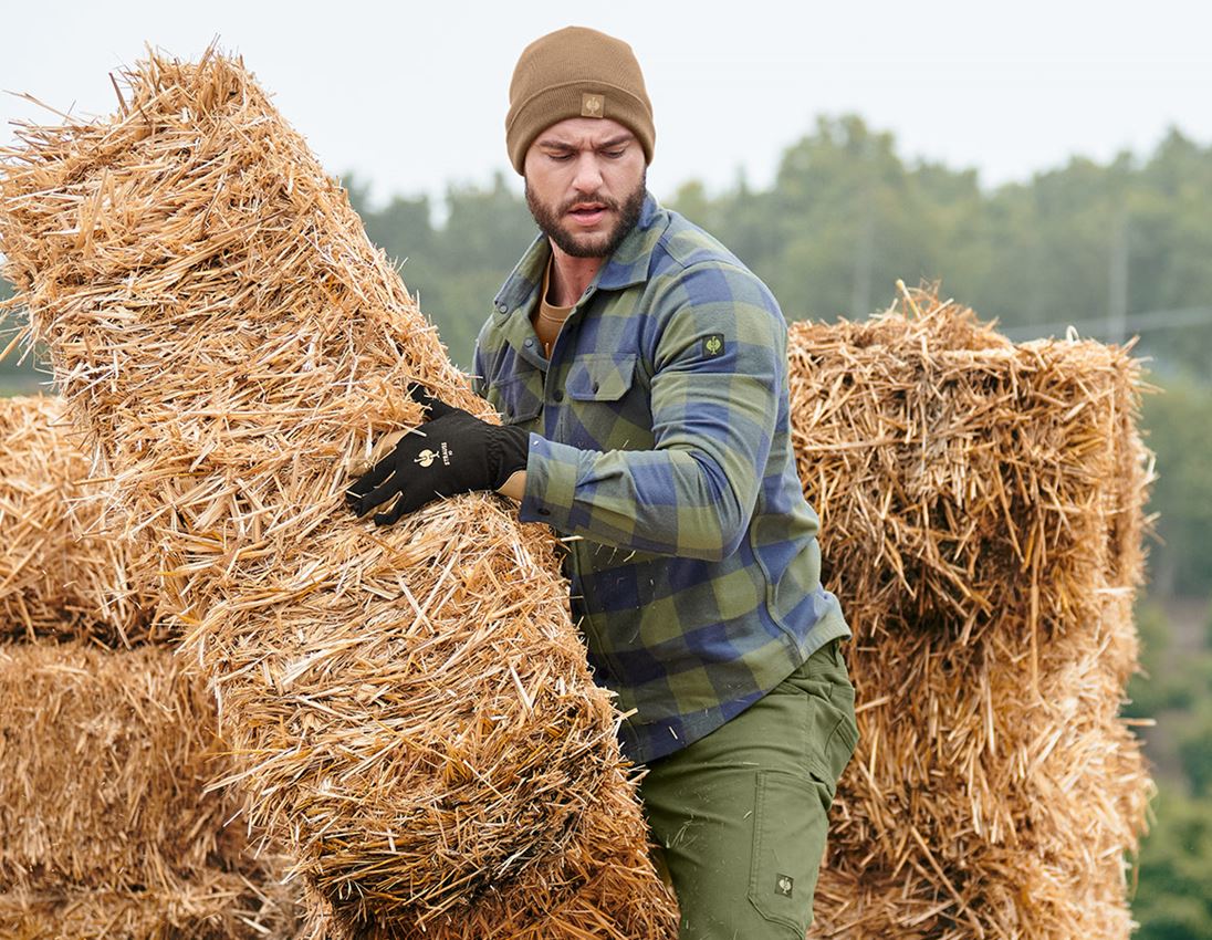 Koszulki | Pulower | Koszule: Koszula w kratkę e.s.iconic + górska zieleń/niebieski tlenkowy 4