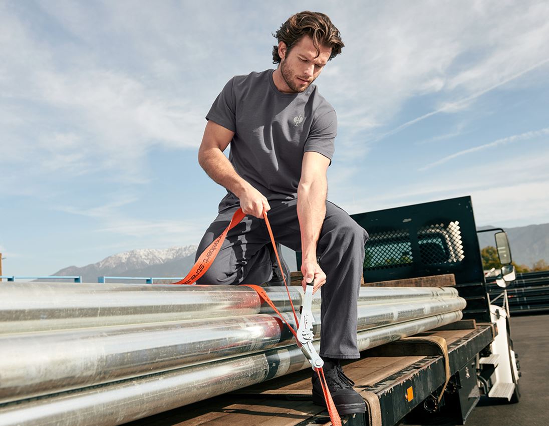 Spodnie robocze: Spodnie do pasa e.s.iconic + karbonowym szary 1