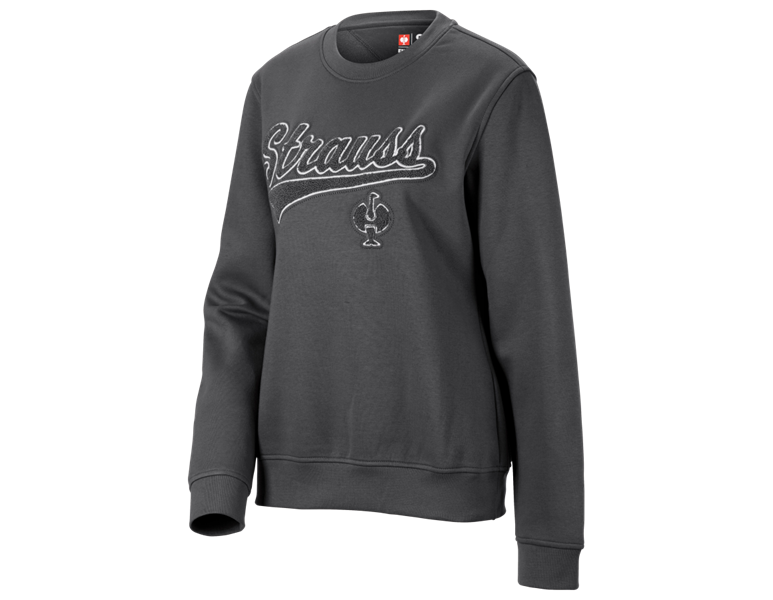 Main view, For friends and family, Sweatshirt e.s.e:pic, ladies', carbongrey