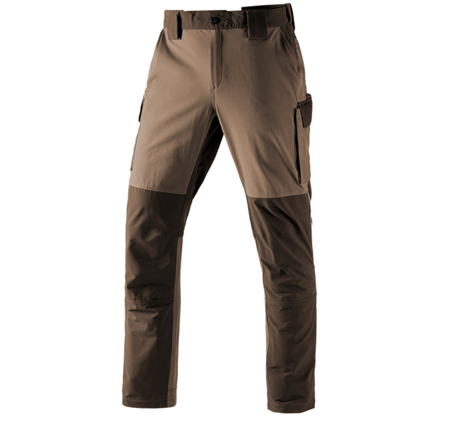 Main view, Gardening / Forestry / Farming, Functional cargo trousers e.s.dynashield, hazelnut/chestnut