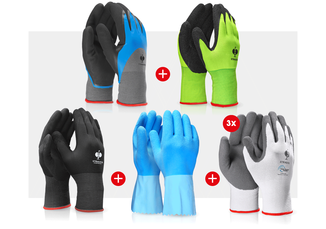 Sets | Accessories: Professional glove set sanitary II