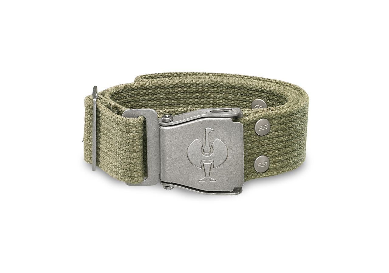Accessories: Belt e.s.motion + reed