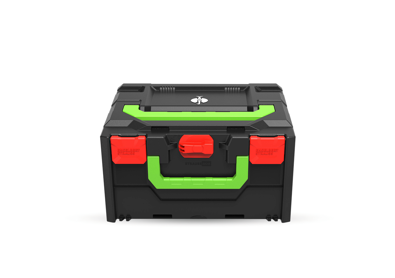 STRAUSSbox System: STRAUSSbox 215 midi Color + fiery red