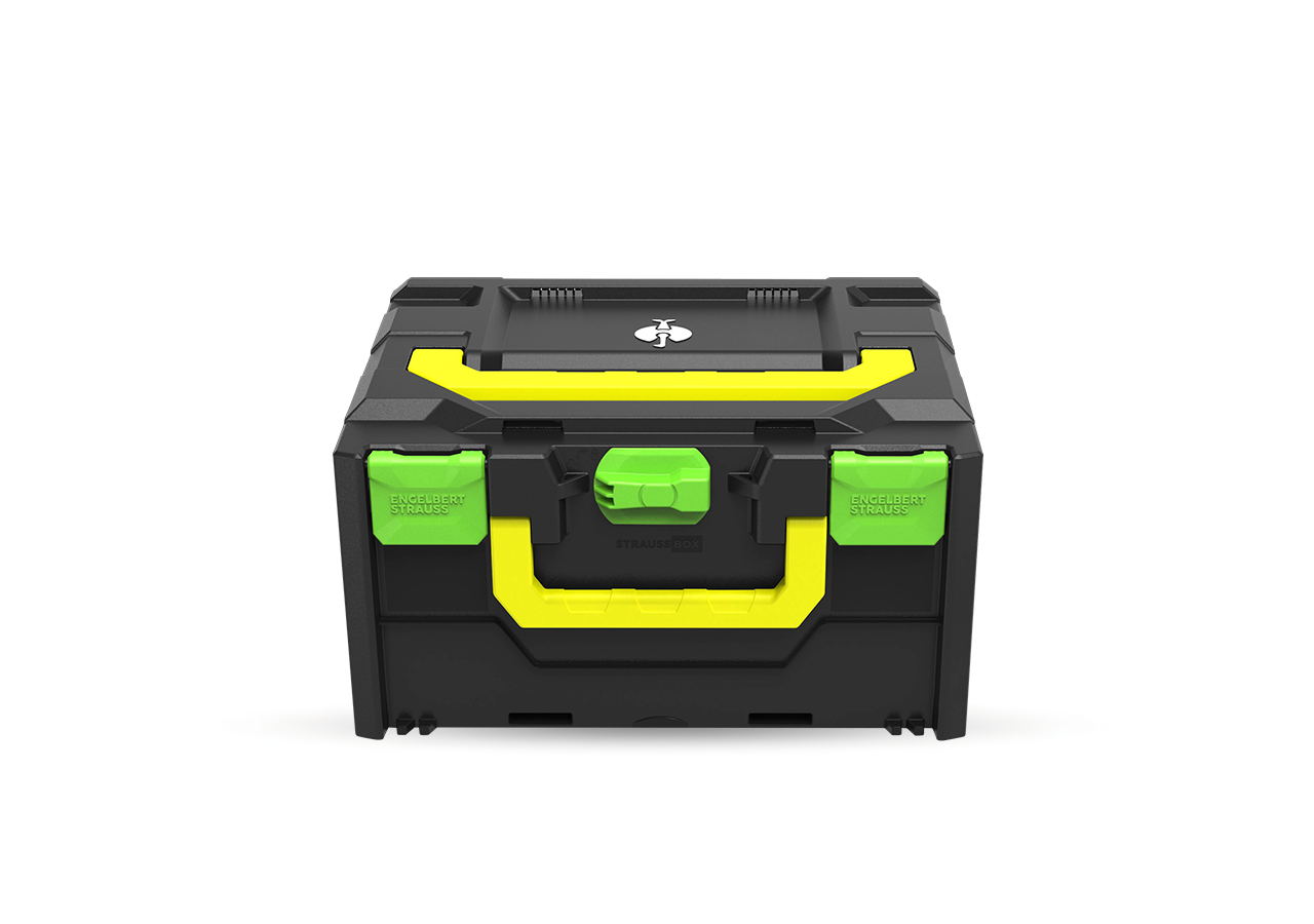 STRAUSSbox System: STRAUSSbox 215 midi Color + sjögrön