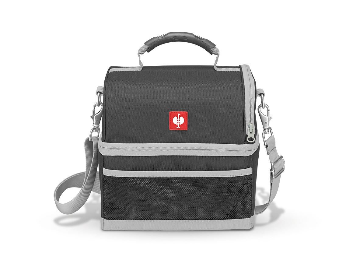 Accessoarer: e.s. Lunchbag + antracit/platina