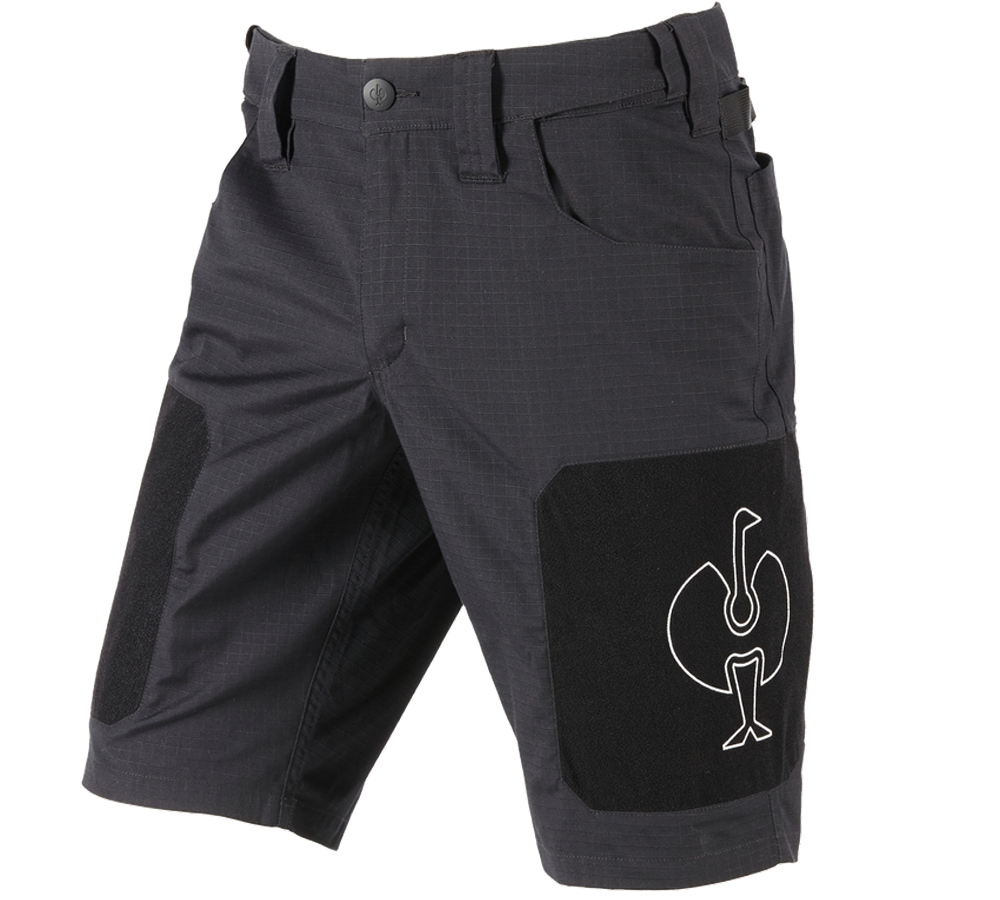 e.s.tool concept: Shorts e.s.tool concept + svart
