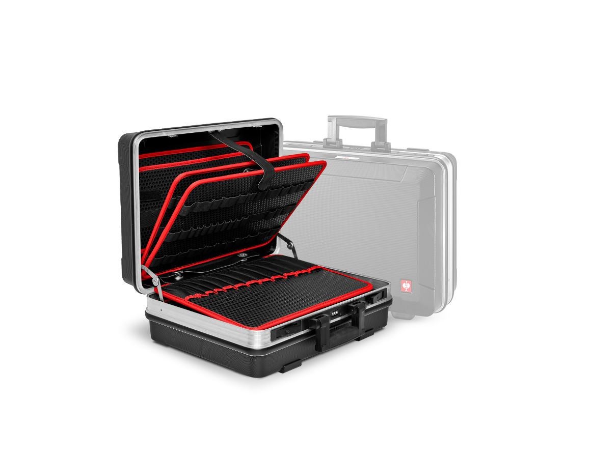 Tool Cases: e.s. tool case professional