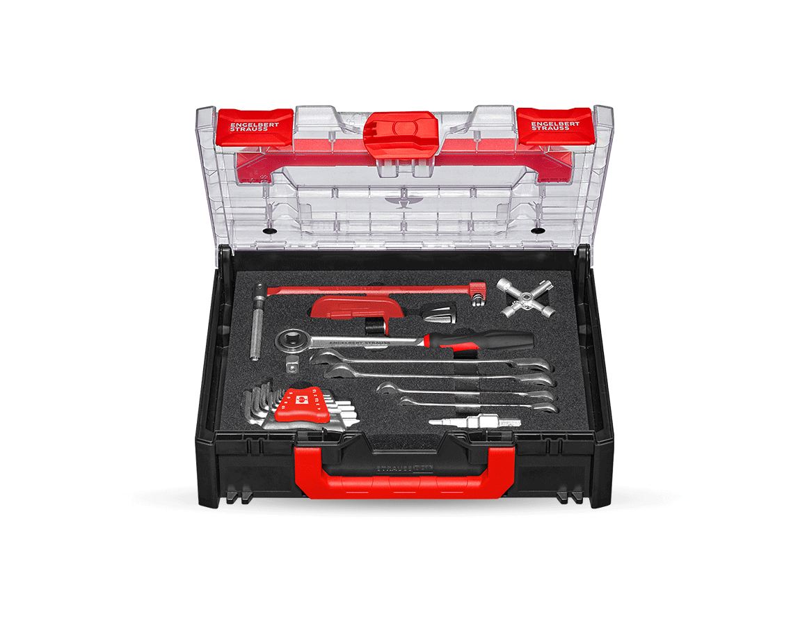 STRAUSSbox System: STRAUSSbox tool set 118 Sanitary