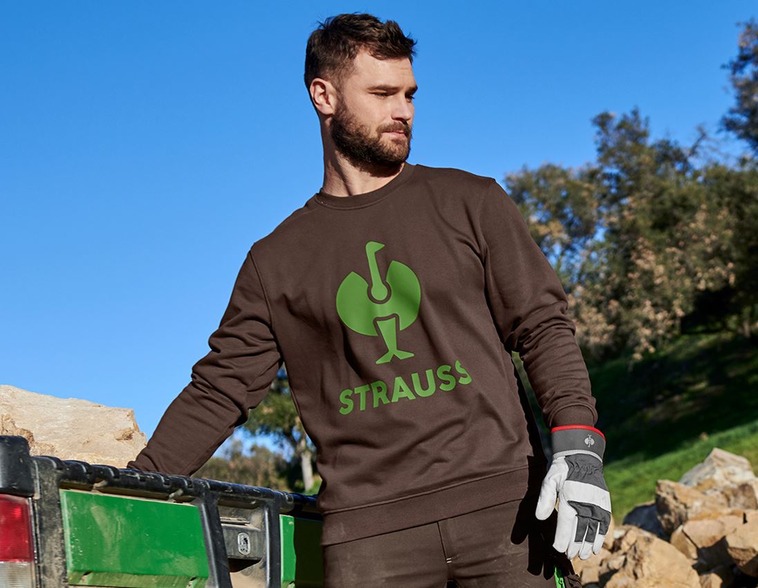 Överdelar: Sweatshirt e.s.motion 2020 + kastanj/sjögrön