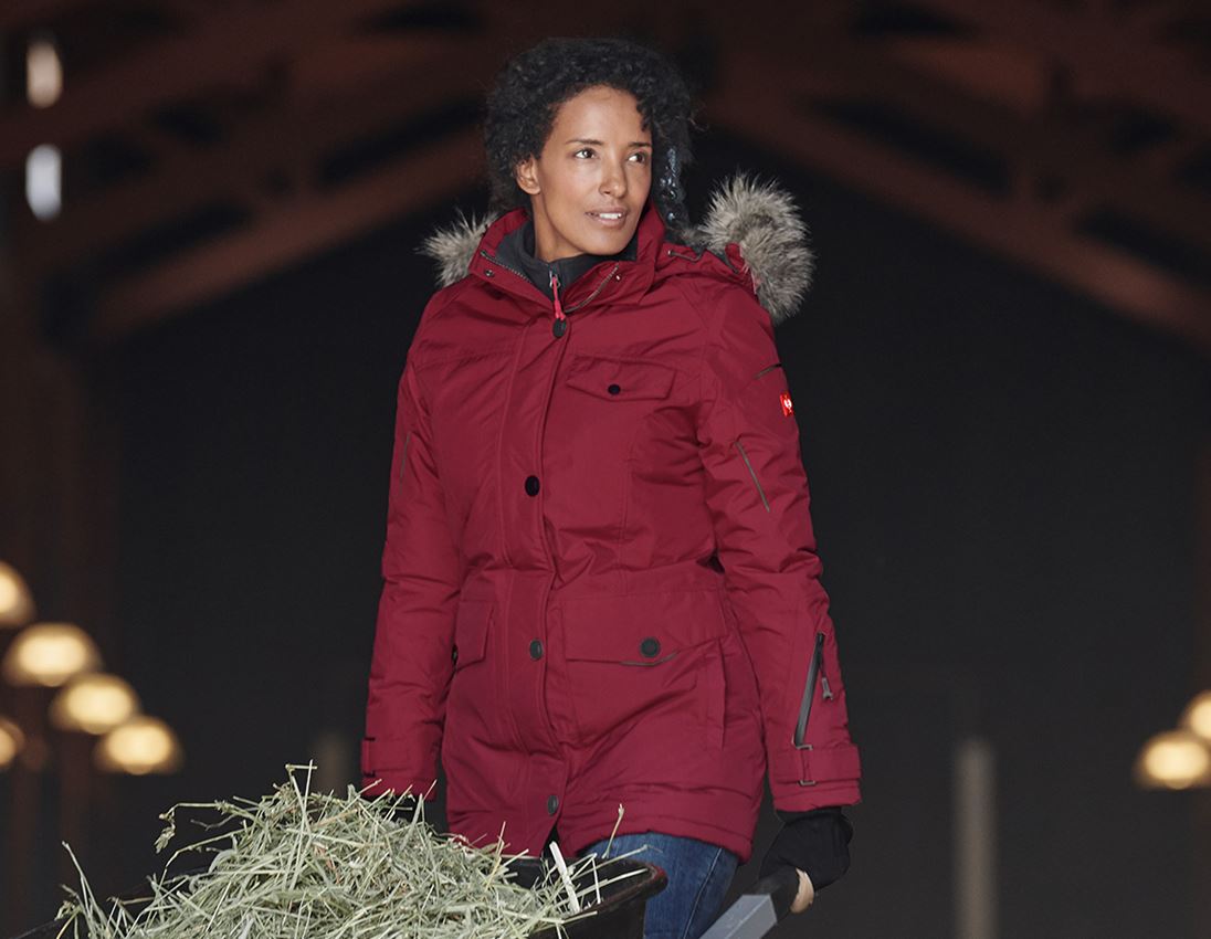 Topics: Winter parka e.s.vision, ladies' + ruby
