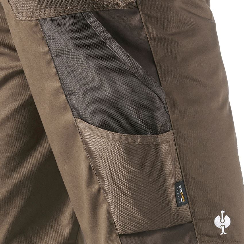 Work Trousers: Shorts e.s.motion + hazelnut/chestnut 2