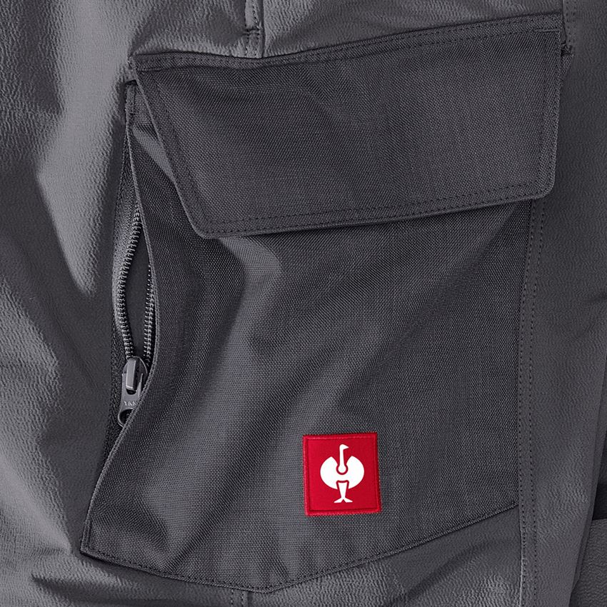 Work Trousers: Functional cargo trousers e.s.dynashield solid + anthracite 2
