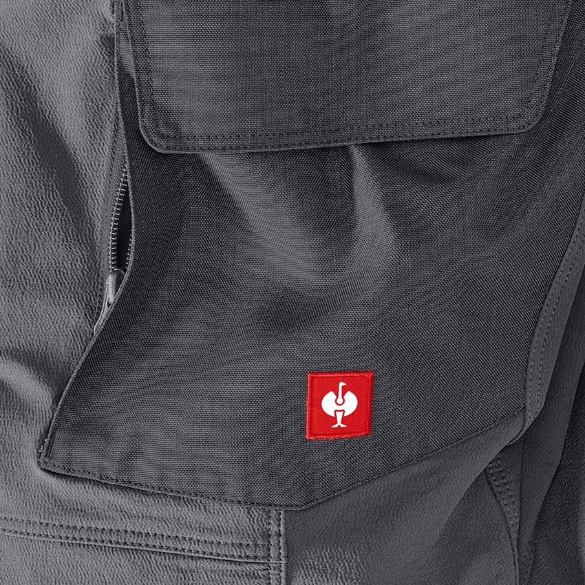 Topics: Funct. cargo trousers e.s.dynashield solid, ladies + anthracite 2