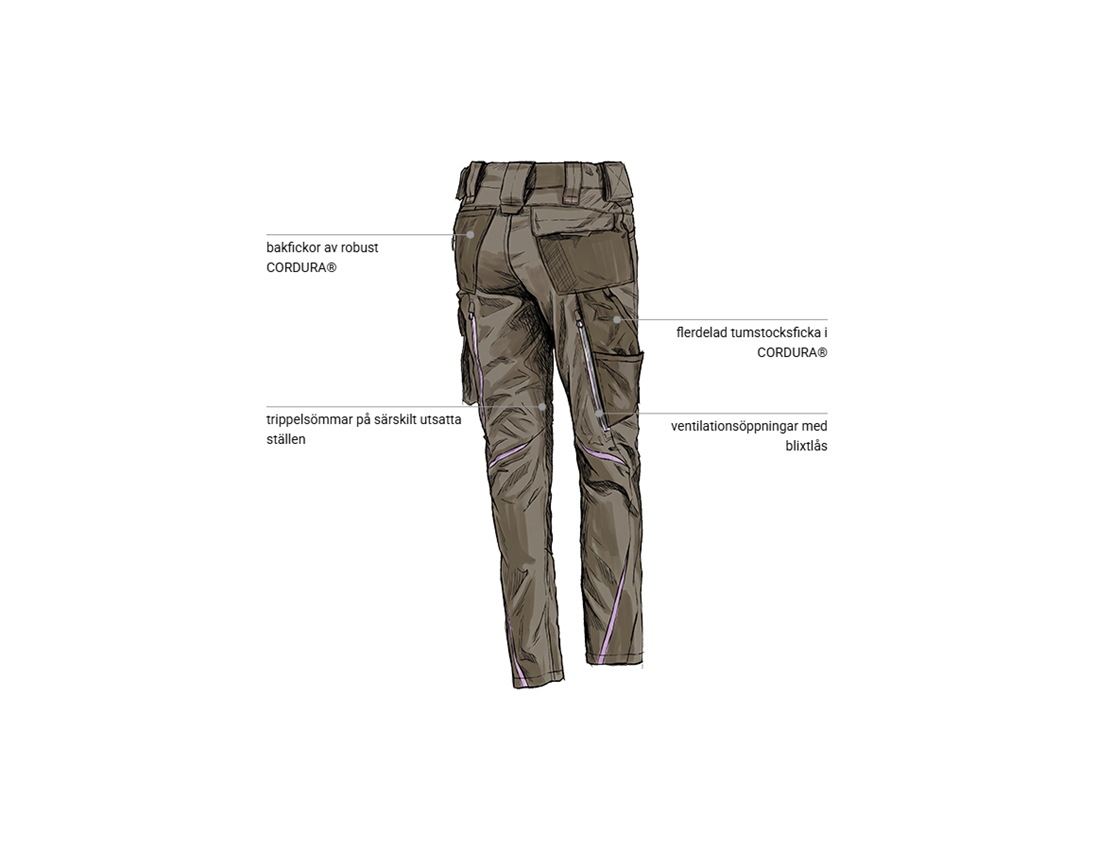 Murare: Dambyxa e.s.motion 2020 + sten/lavendel 2