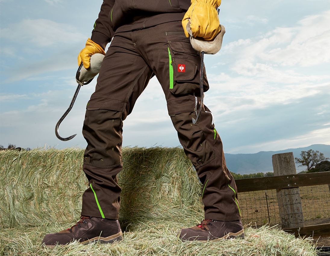 Teman: Vintermidjebyxa e.s.motion 2020, herrar + kastanj/sjögrön