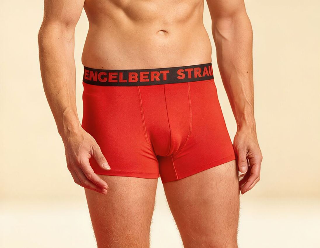 Underwear | Functional Underwear: e.s. Modal stretch pants, pack of 2 + straussred+black