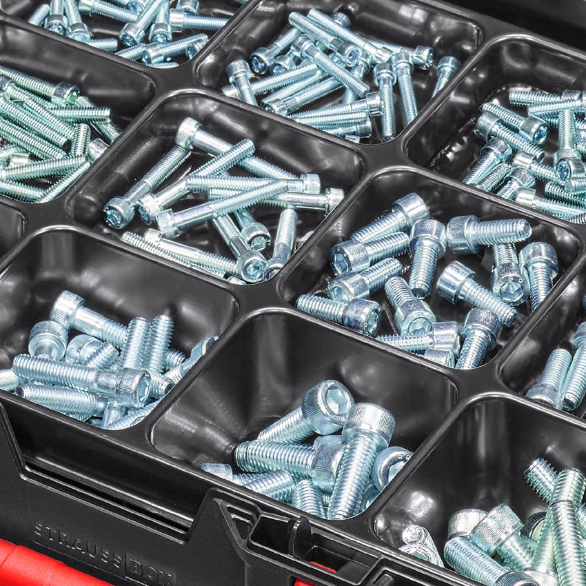 Screws: Cylinder screws assortment ISO4762 STRAUSSbox midi 2
