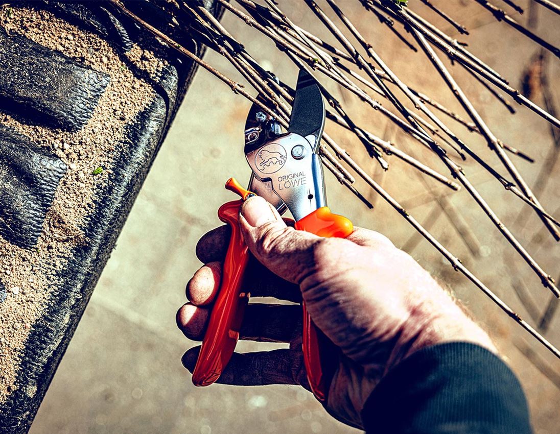 Saxar: Sekatör Löwe 1 1