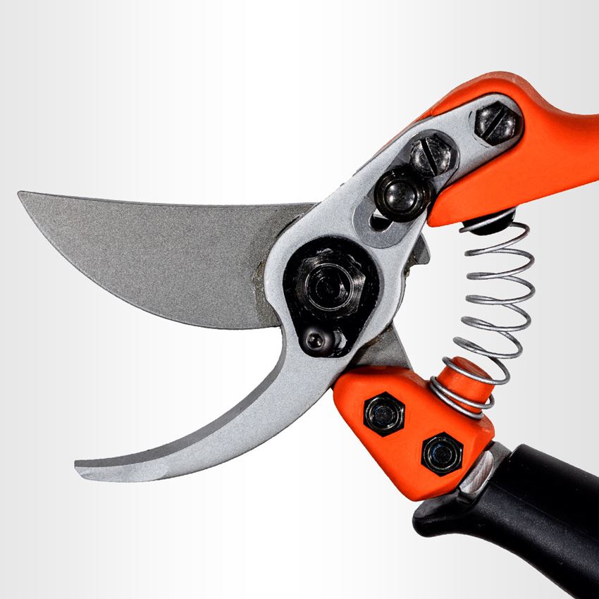 Scissors: Bypass shears Löwe 11 with a revolving handle 2