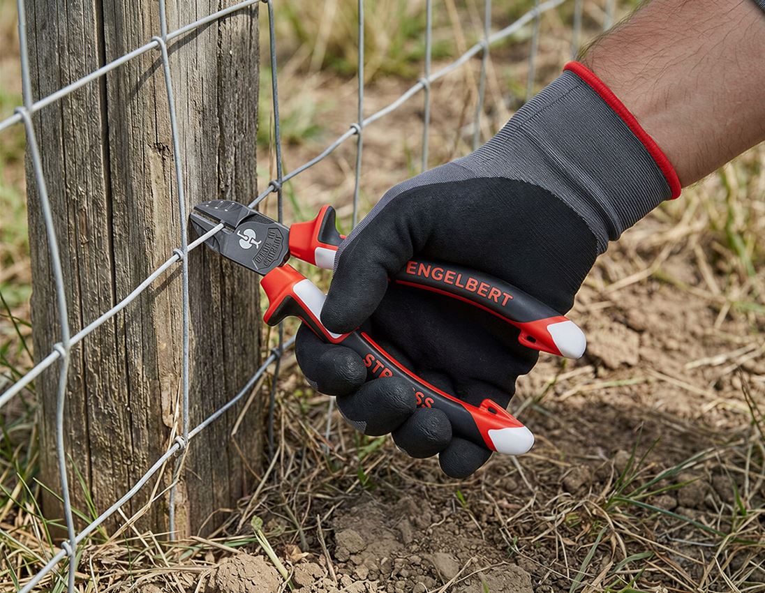 STRAUSSbox System: Power pliers set in STRAUSSbox mini 1