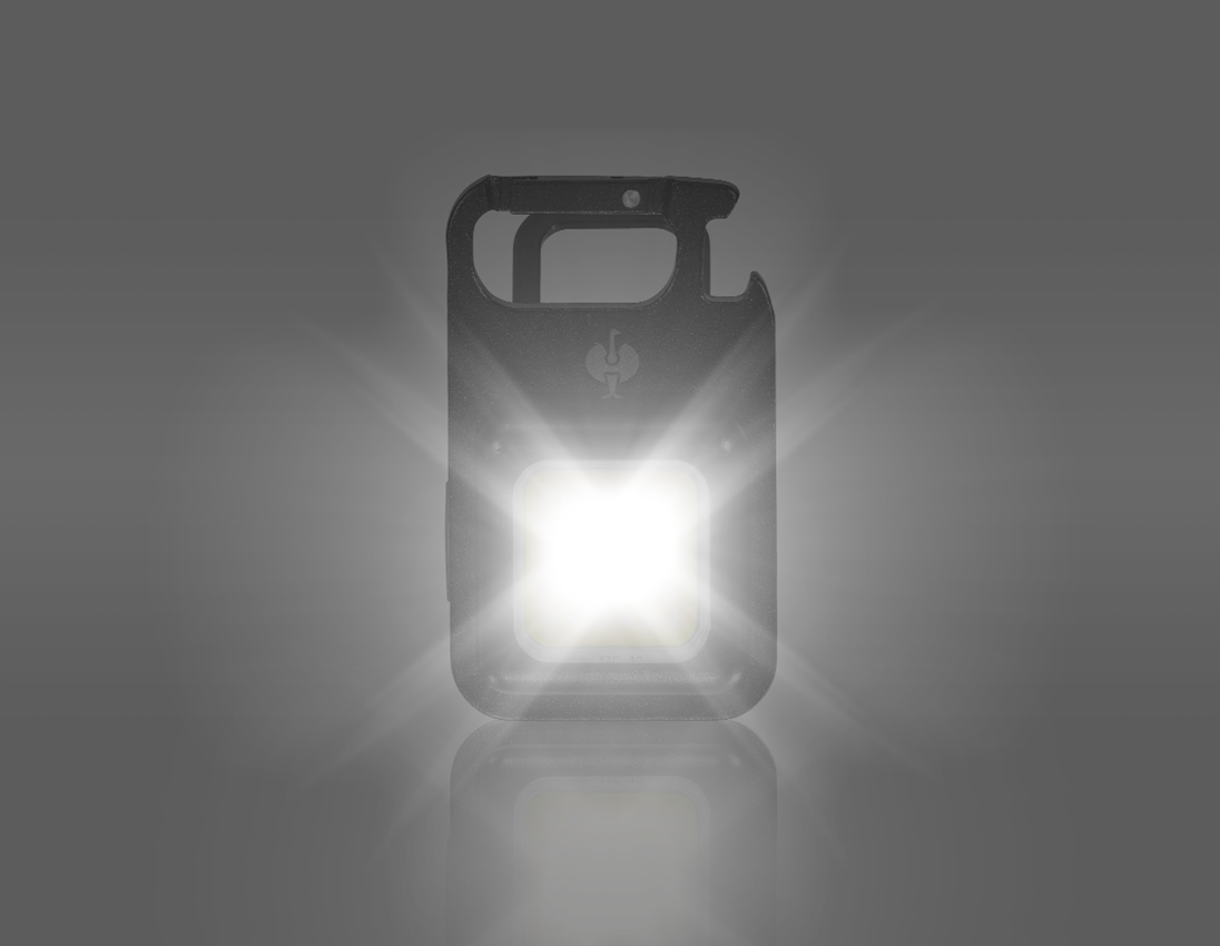 Lamps | lights: LED multi-function lamp Clip 6