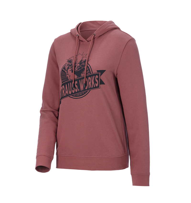 Shirts, Pullover & more: Hoody sweatshirt e.s.iconic works, ladies' + oxidred 3