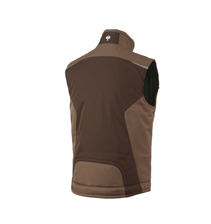 Cold: Softshell bodywarmer e.s.motion + chestnut/hazelnut 3