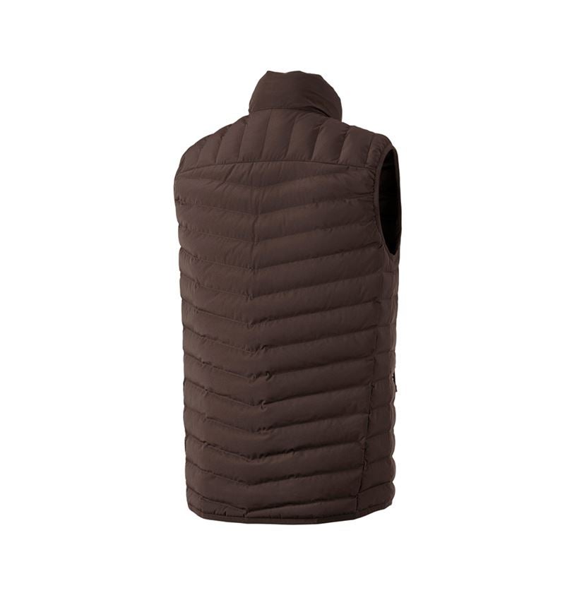 Topics: Bodywarmer e.s.motion ten + chestnut 3