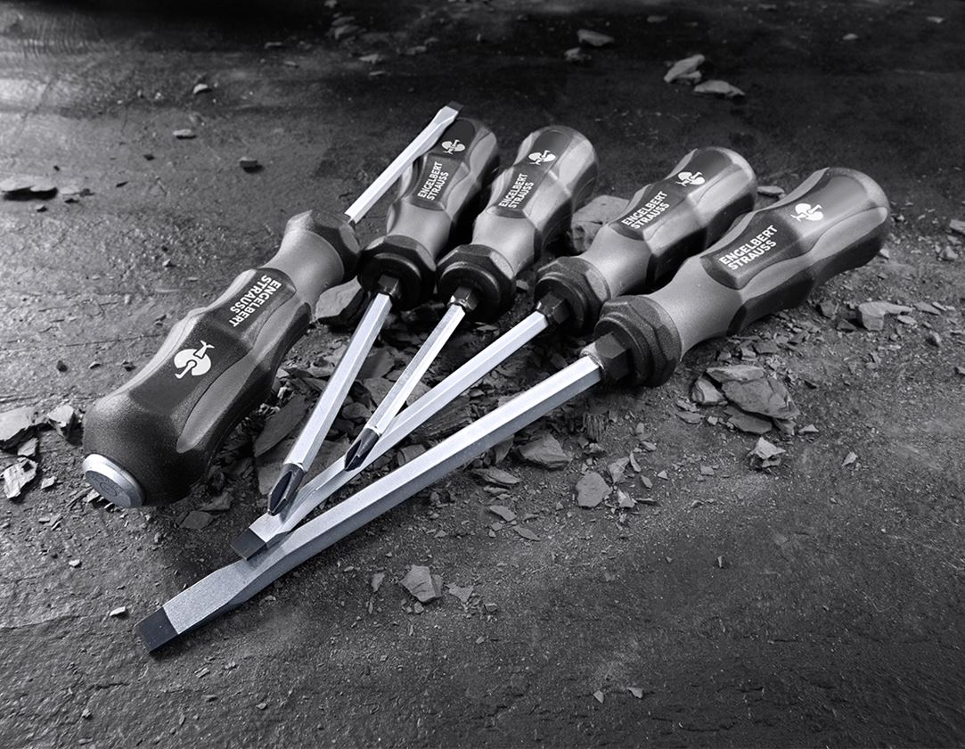Screwdrivers: e.s. Power screwdriver set scalpro