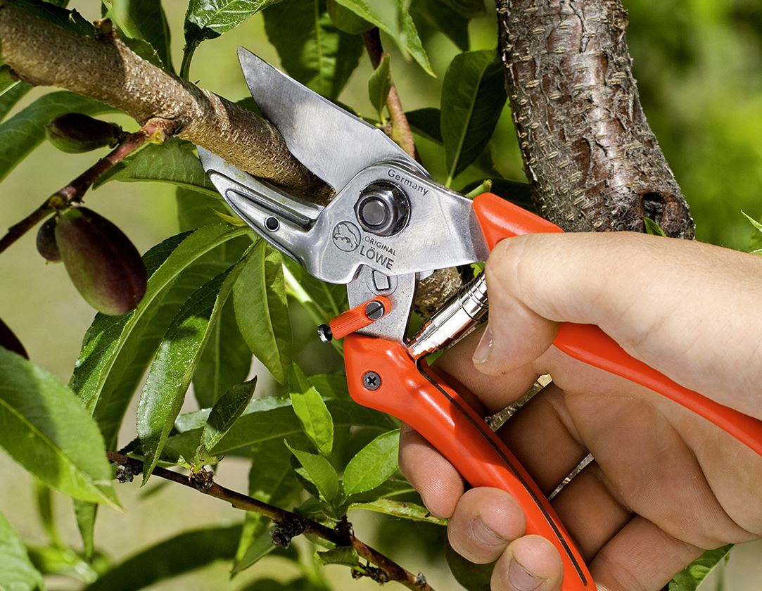 Scissors: Spare parts set for Löwe 8