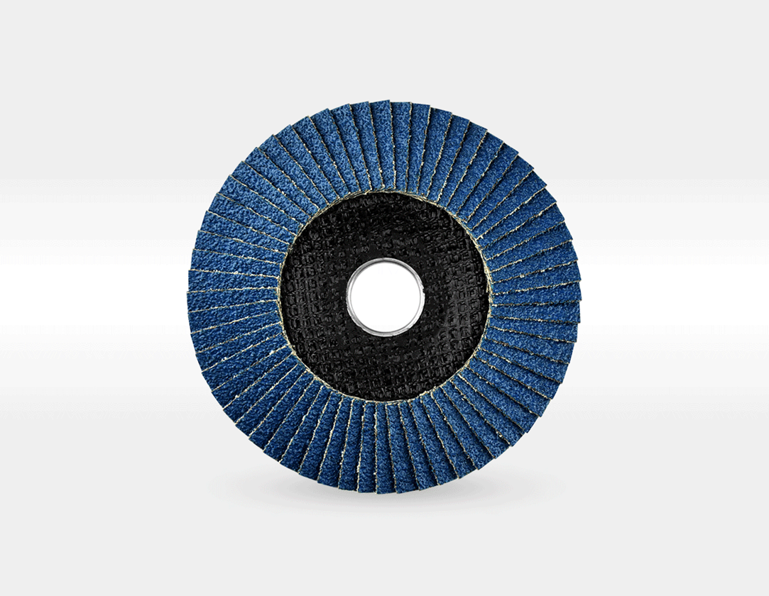 Sanding tools: e.s. Lamella sanding disc pro, slanted form 1