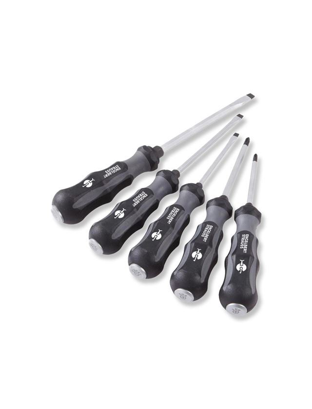 Screwdrivers: e.s. Power screwdriver set scalpro