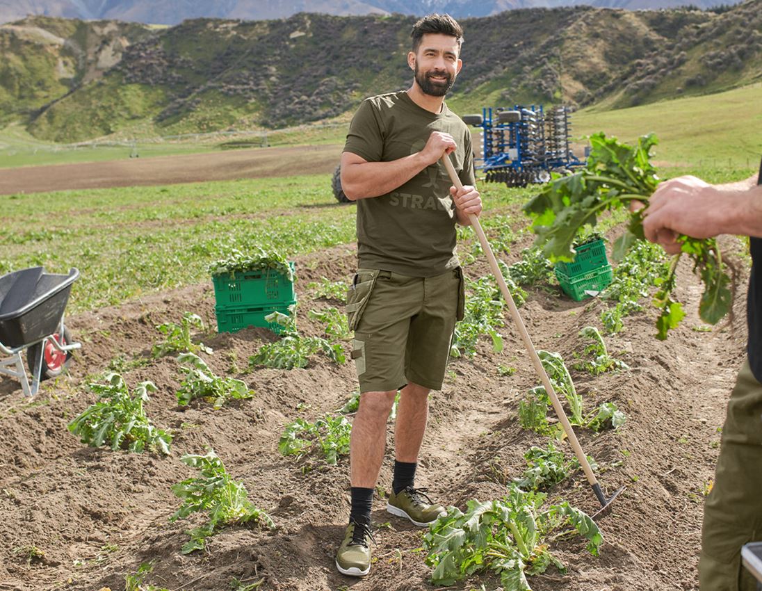 Pracovné nohavice: Šortky e.s.concrete light + bahenná zelená/kavyľová zelená 1