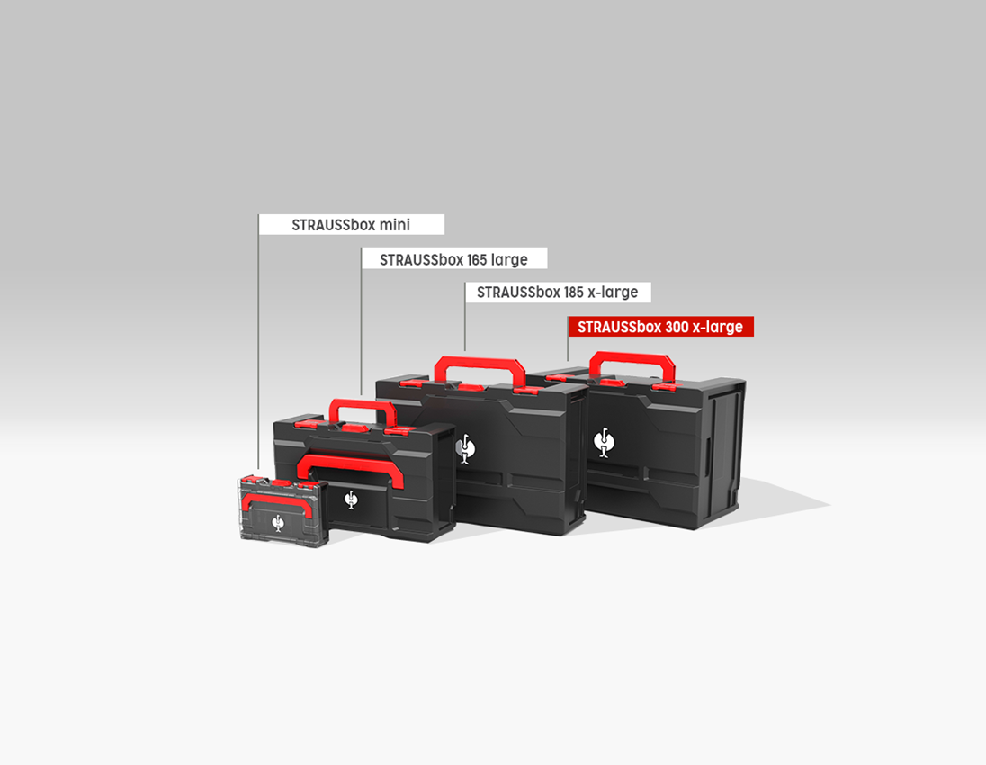 Systém STRAUSSbox: STRAUSSbox 300 x-large 4